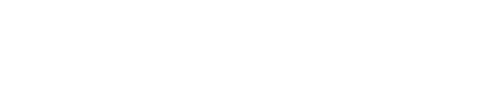 Alliance Jiu Jitsu Puerto Rico by Cobrinha
