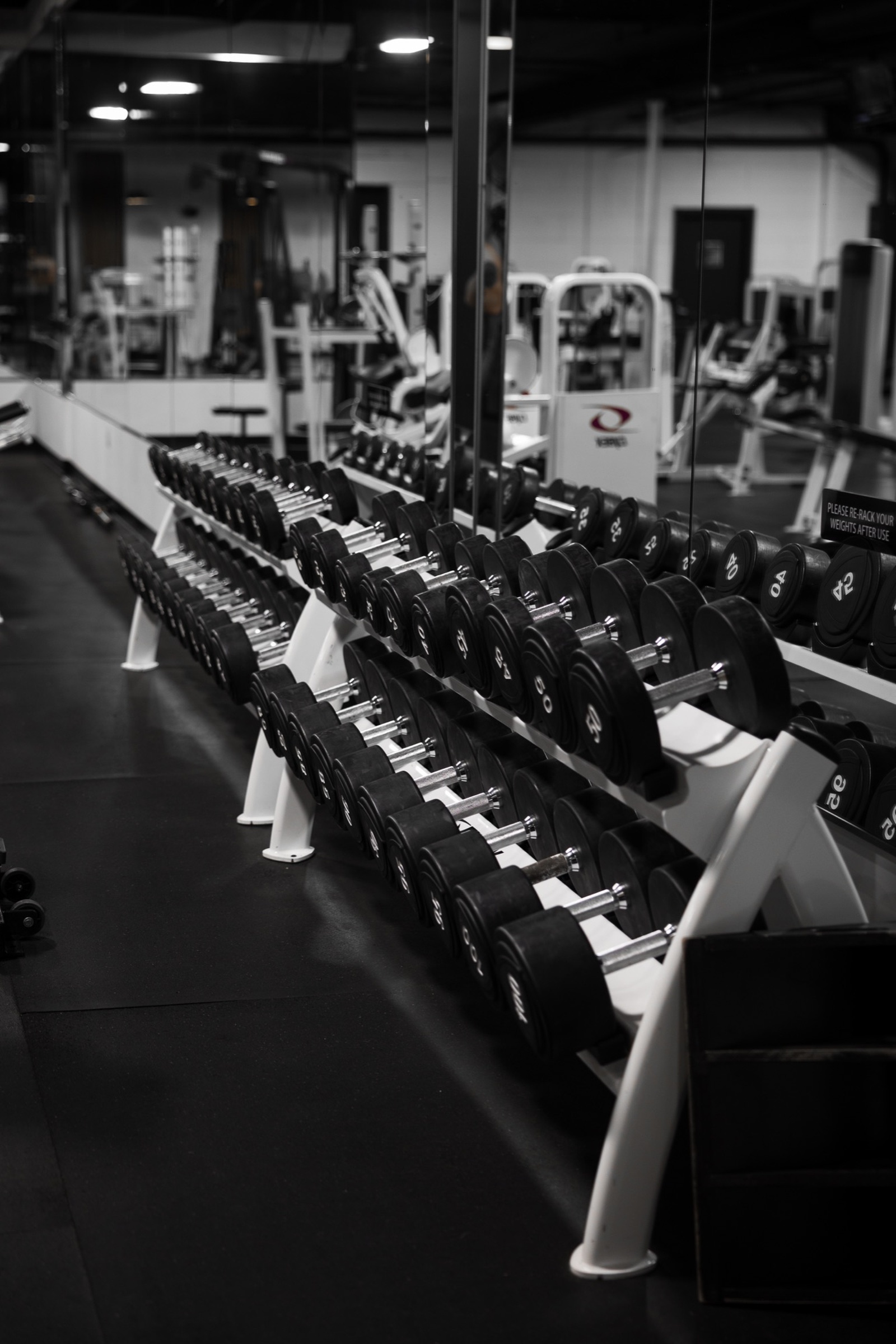 Strength equipment at ALL-ONE GYM