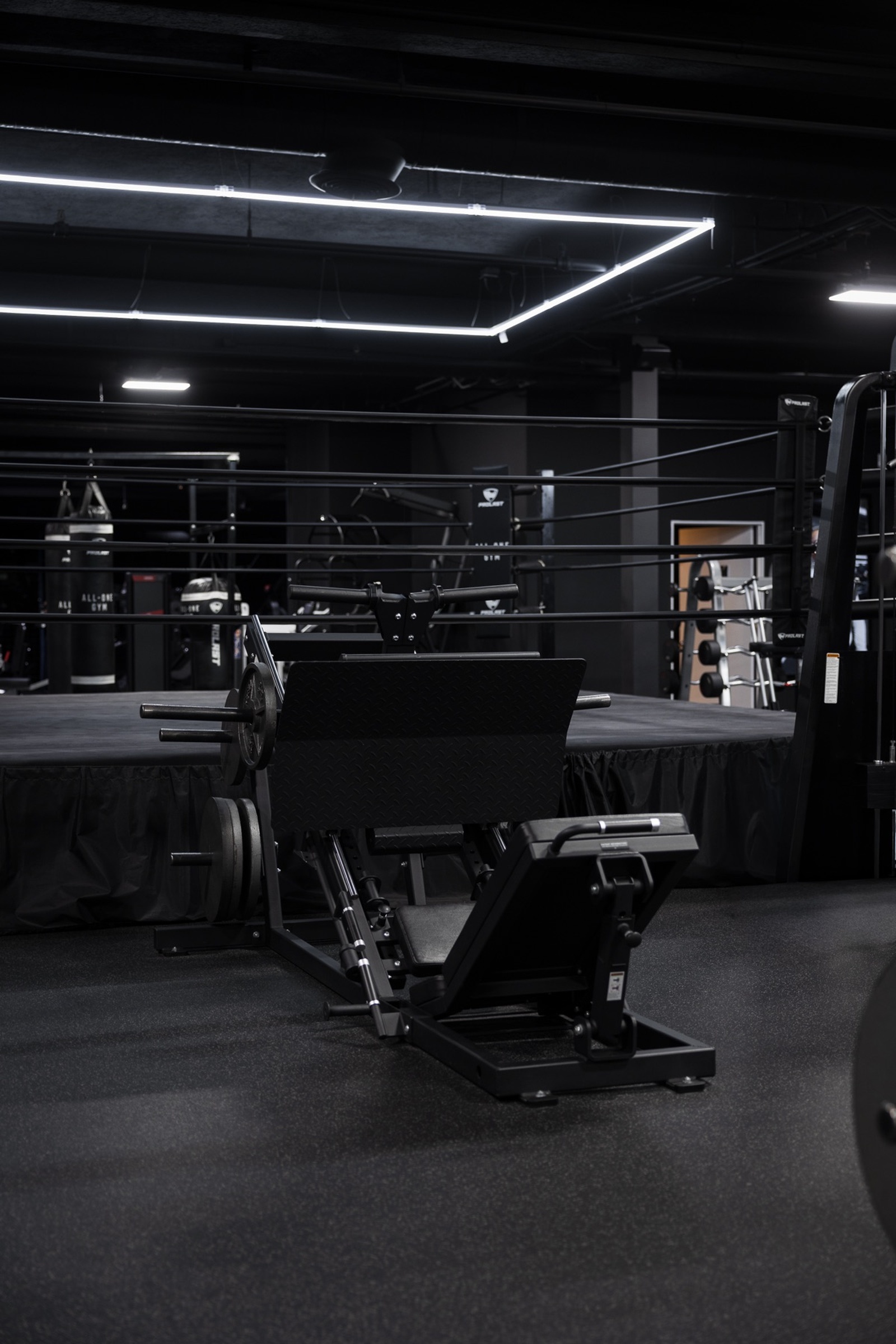 Private gym floor and equipment