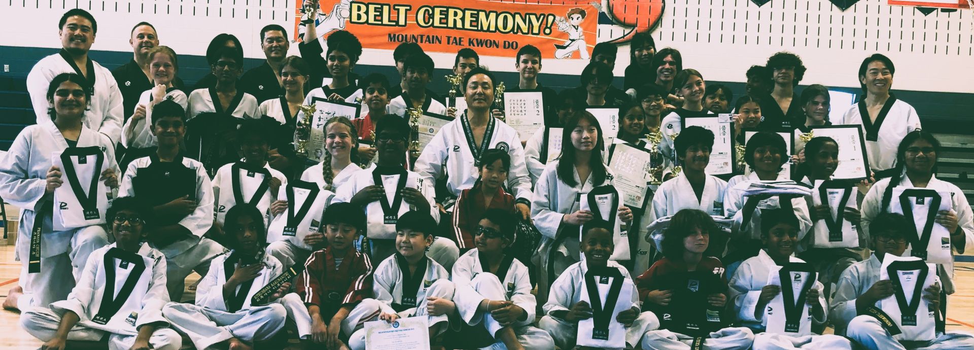 MT KICKS TAEKWONDO photo