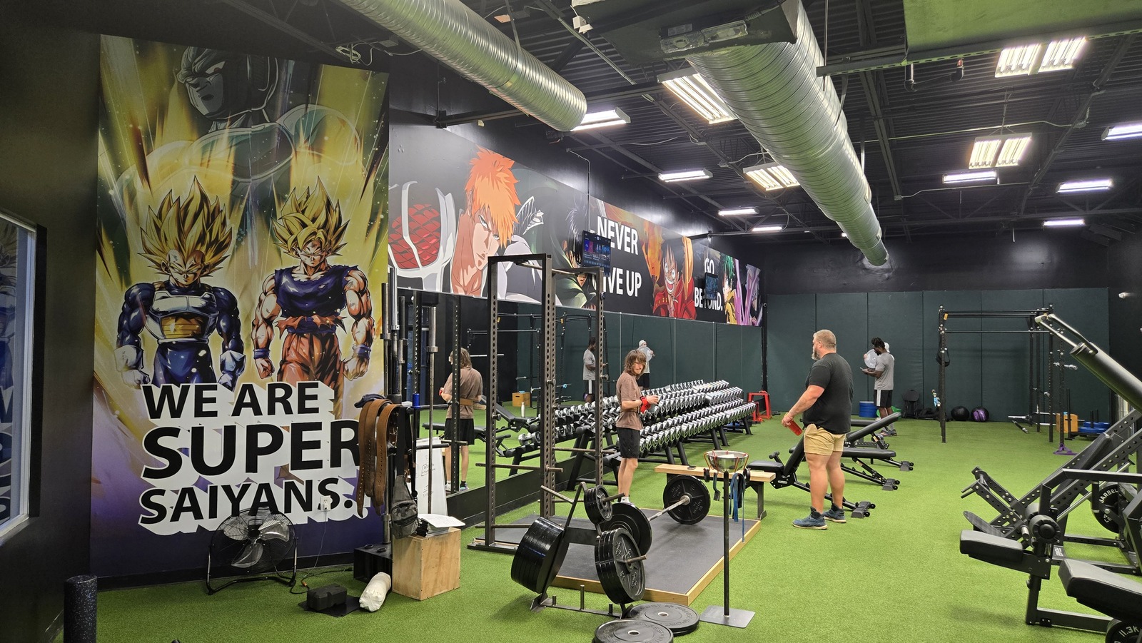 Gym equipement by Flex & Flow Fitness Tampa, FL