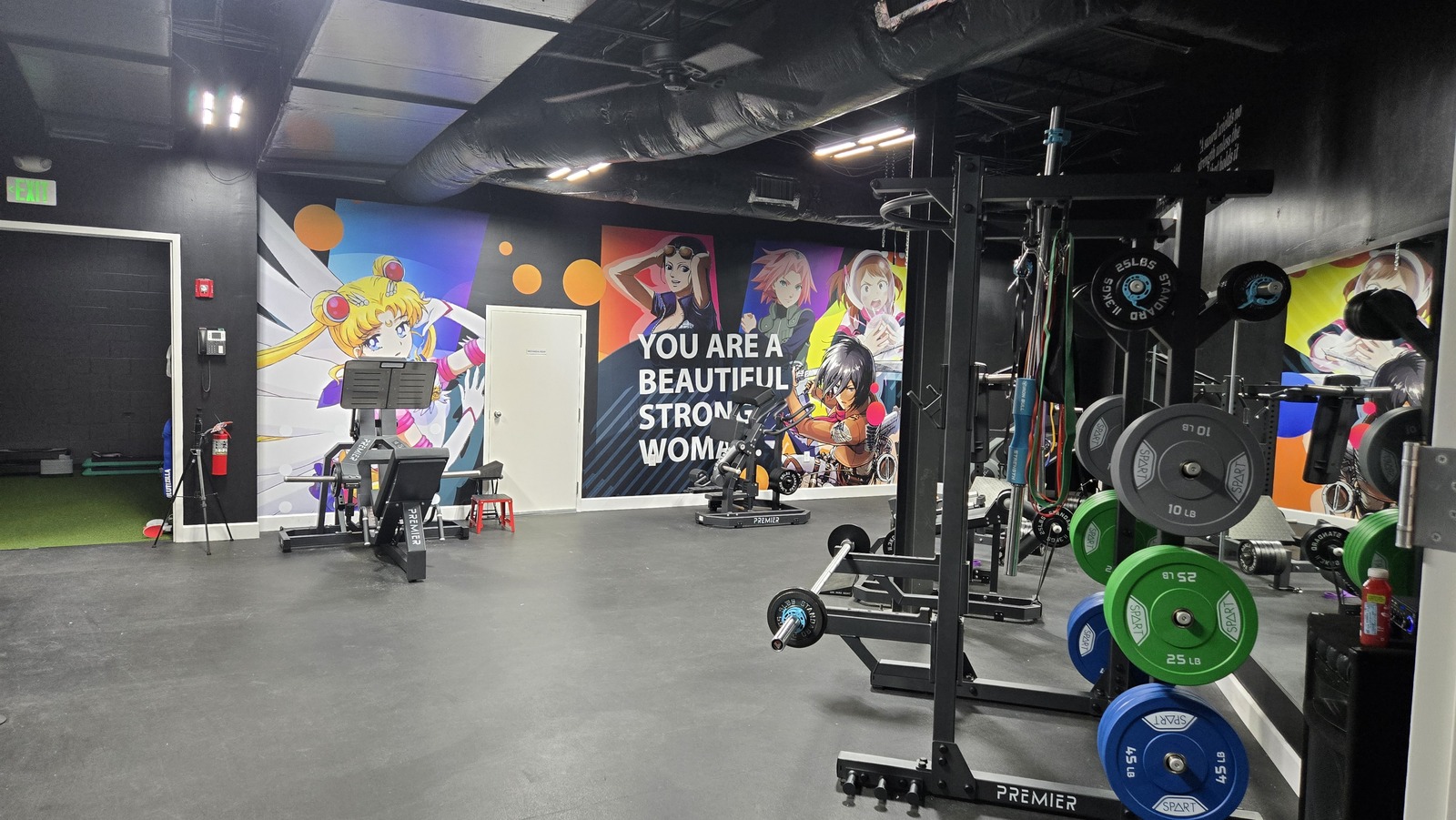 Gym equipement by Flex & Flow Fitness Tampa, FL