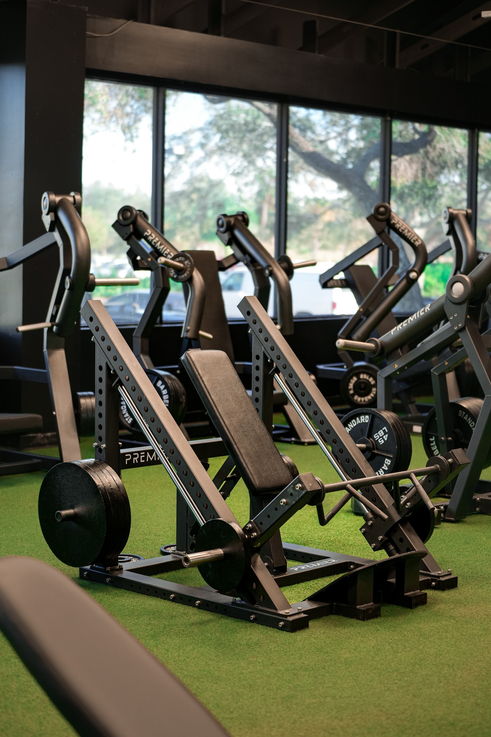 chest press at Tampa Gym