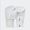 Recruit 16oz Boxing Gloves Photo 1