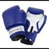 Adult Boxing Gloves Photo 1