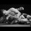 WD