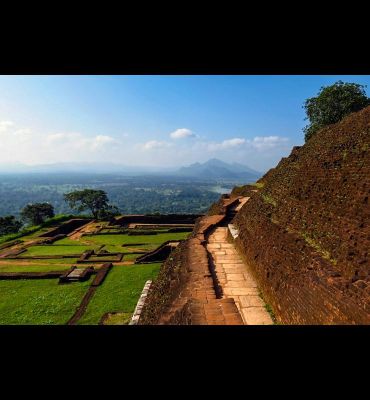 Gym Staff Instructor Leon 0