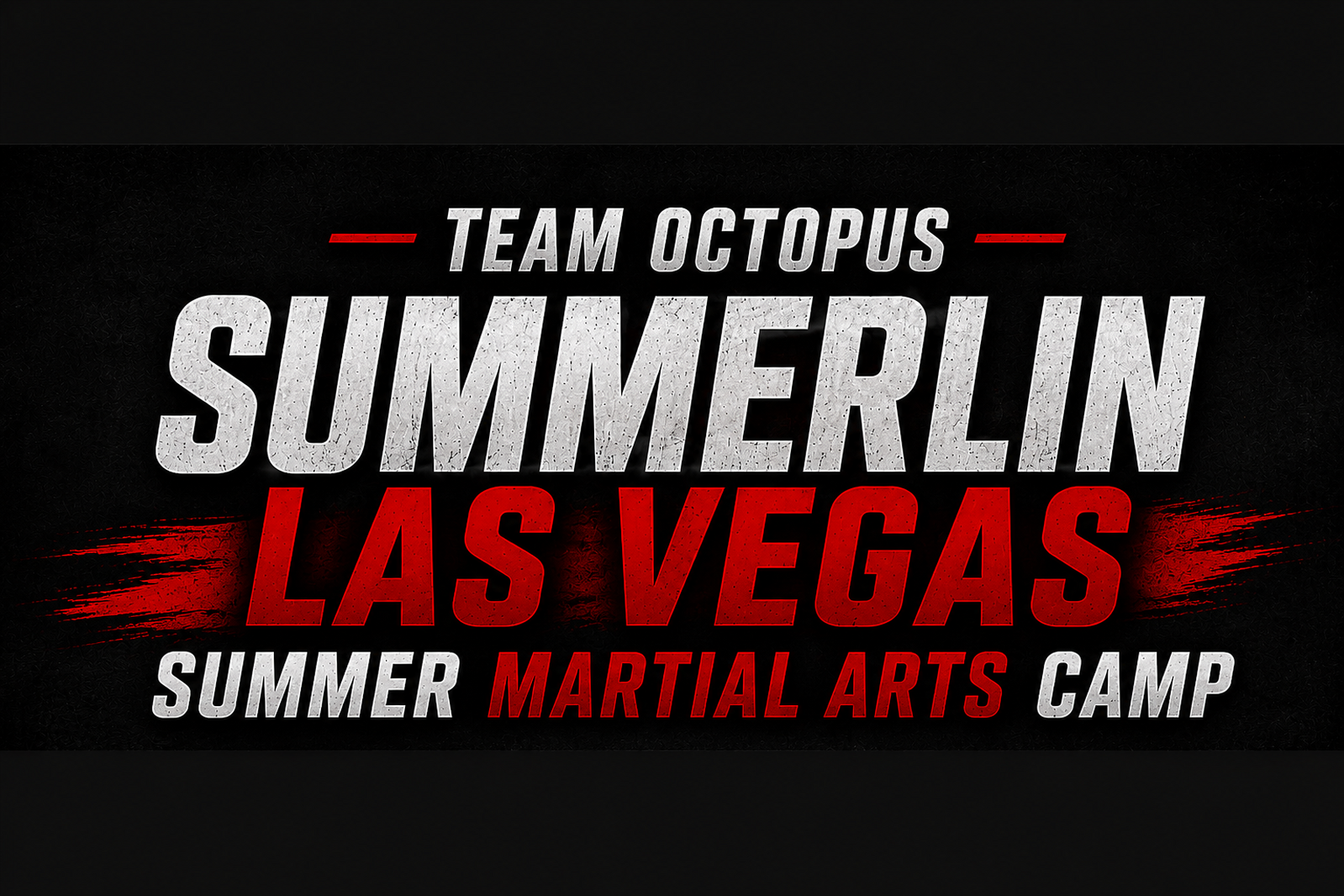 Team Octopus Summerlin Las Vegas Summer Martial Arts Camp