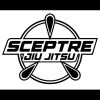 Sceptre Jiu Jitsu Spring Break Camp Photo 2