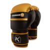 Aspire Boxing Gloves - 16 oz Photo 1