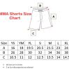MMA Shorts - White Photo 3