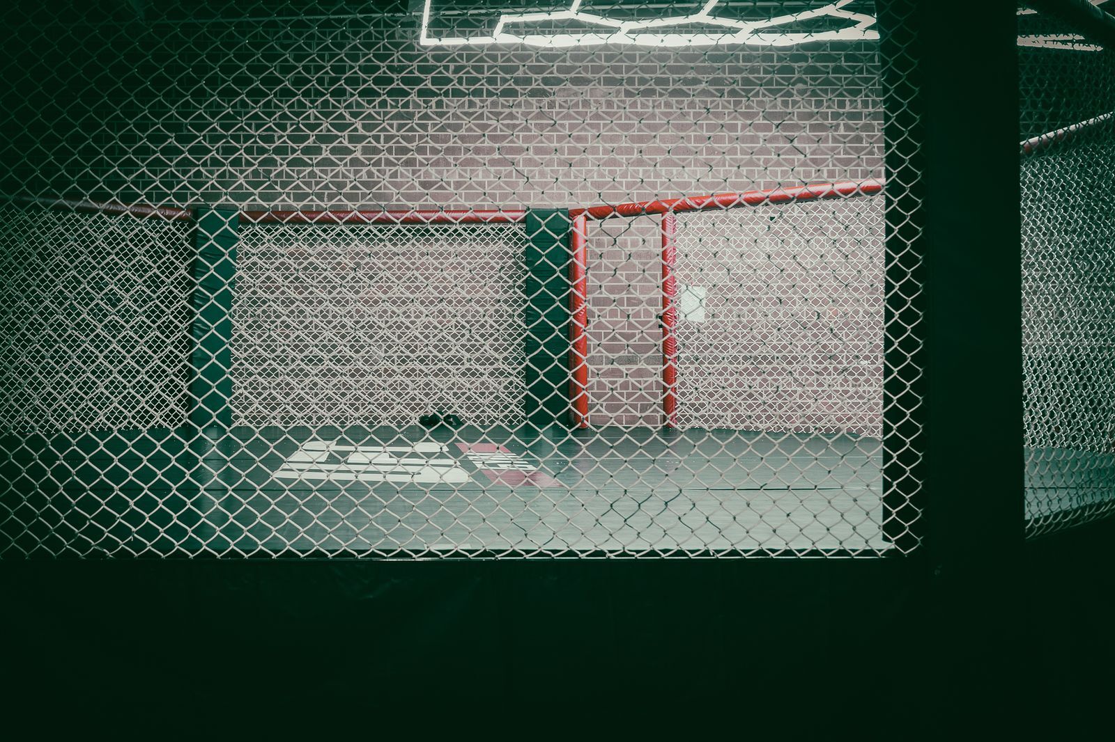 MMA cage at The Sweat Lab gym in Gibsonville, North Carolina