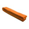 Karate Belt (Replacements Only) Photo 3