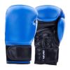 TKM Boxing Glove Photo 1