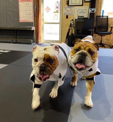 Maddie & Martha photo