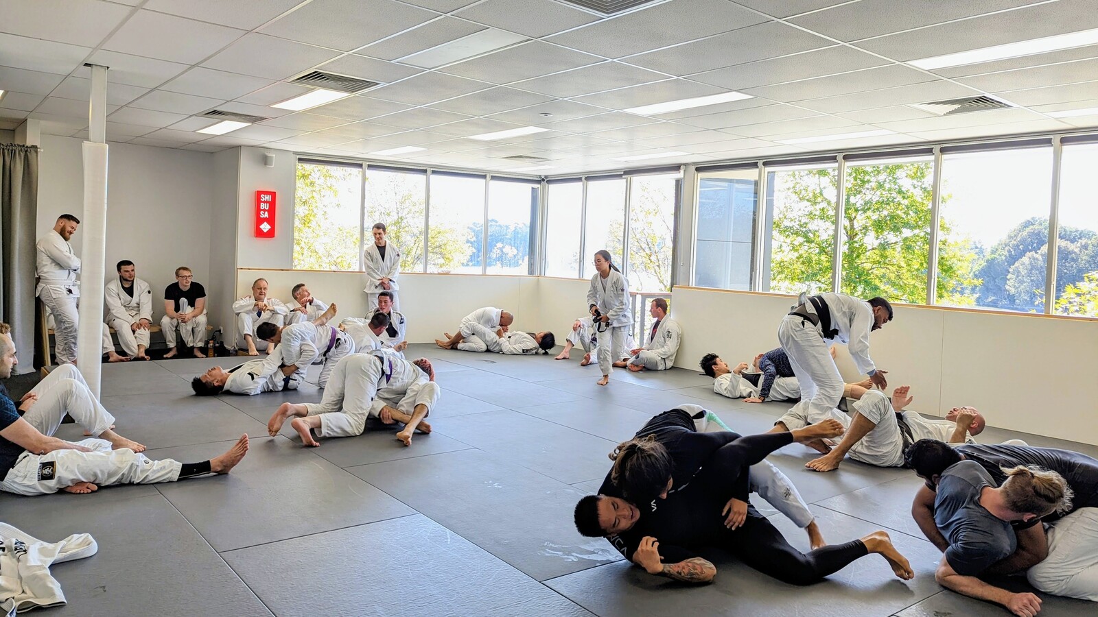 BJJ beginner training at Shibusa Jiu Jitsu Studio, Belconnen Canberra