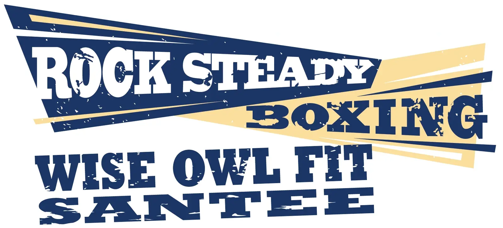 Rock Steady Boxing Wise Owl Fit Santee