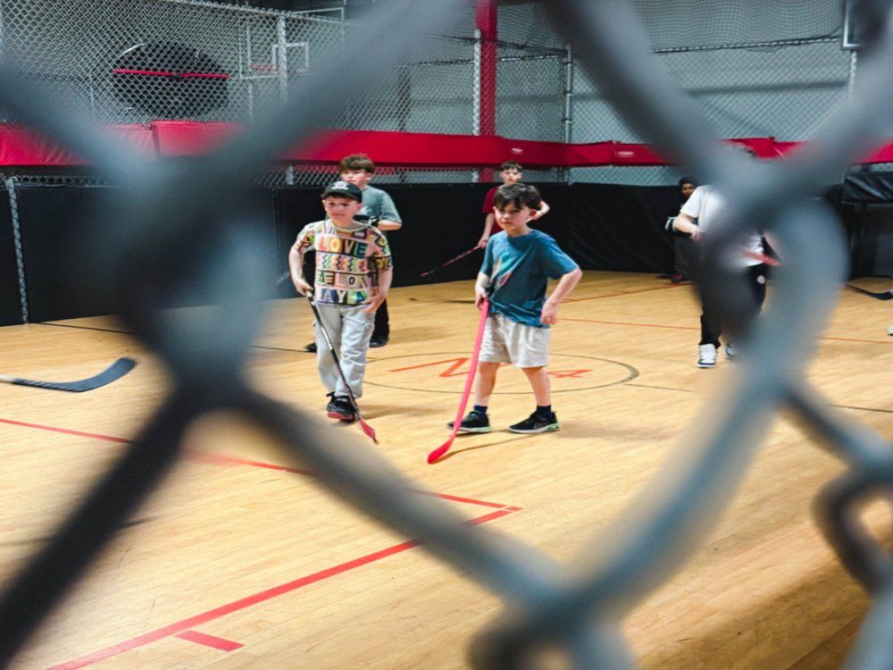 Basket Hockey