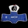 Plastron / Chest Guard Photo 1