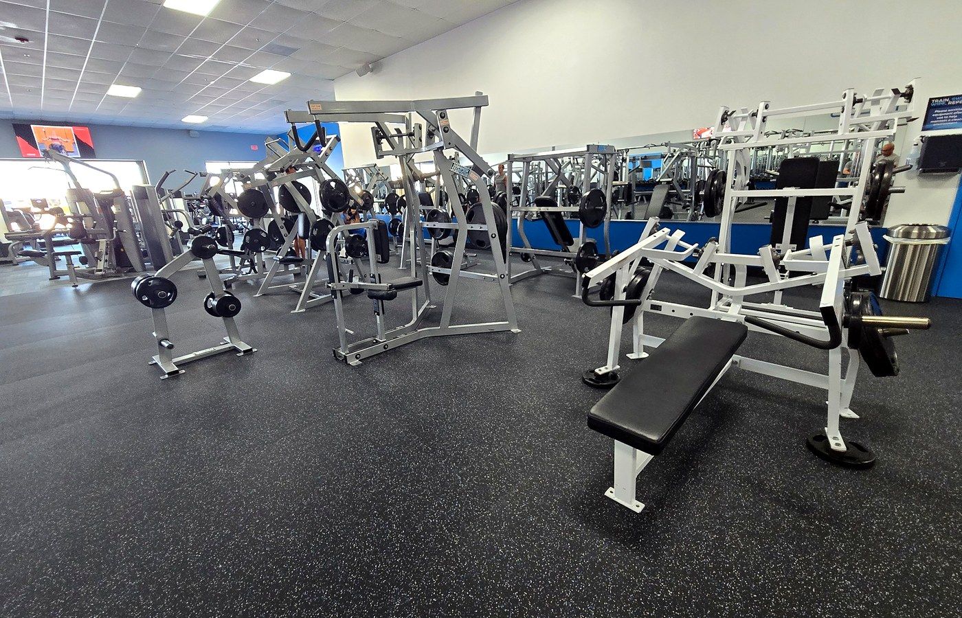 Strength training equipment at Harbour Fitness
