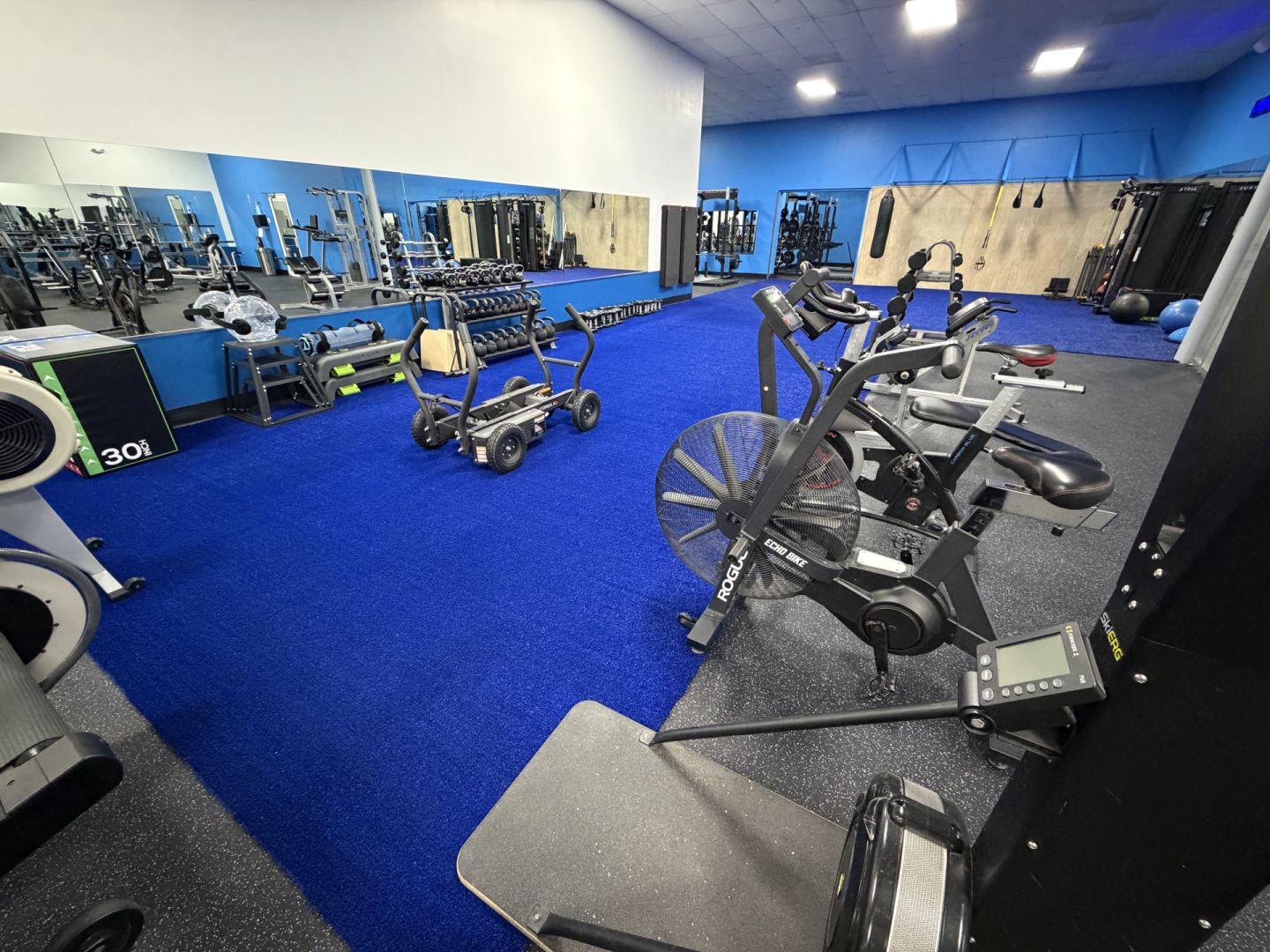 Harbour Fitness functional training turf