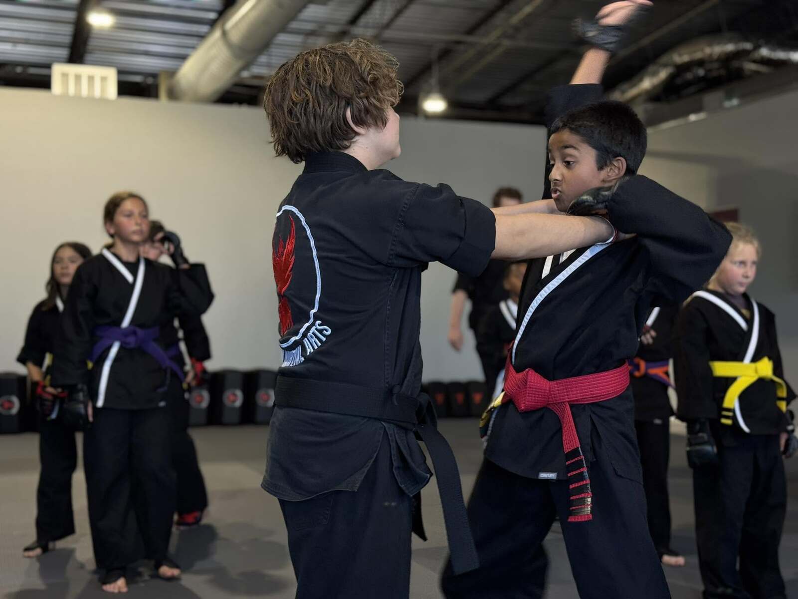 Martial Arts Training