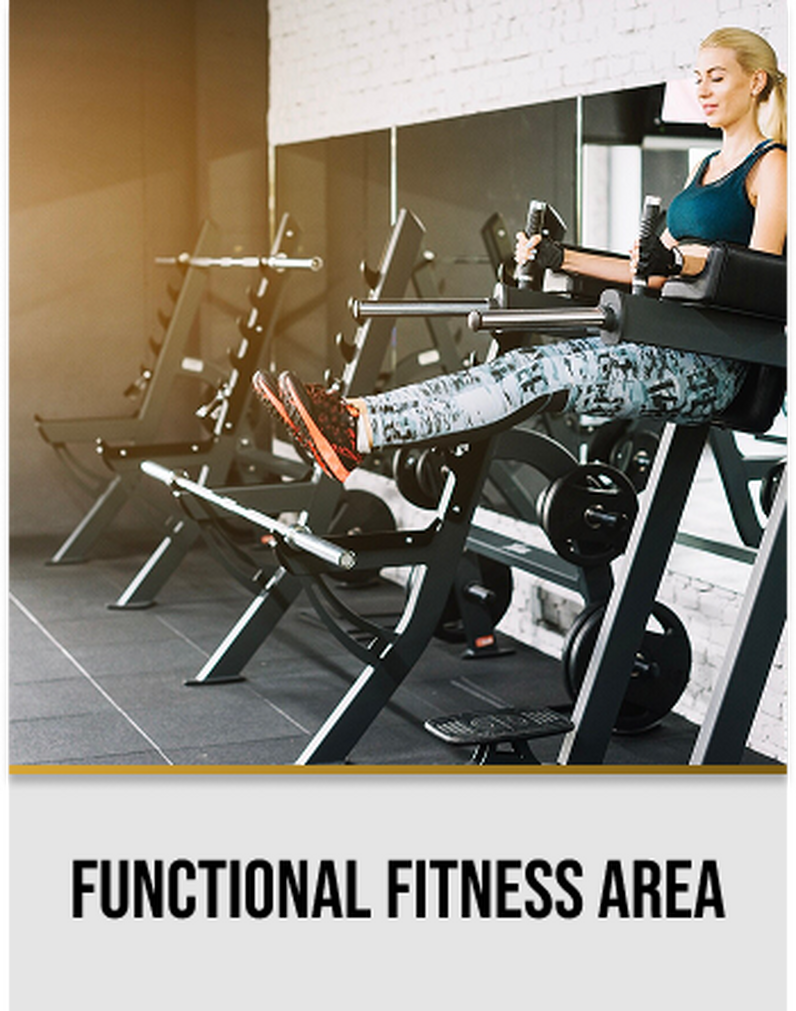 Functional fitness area