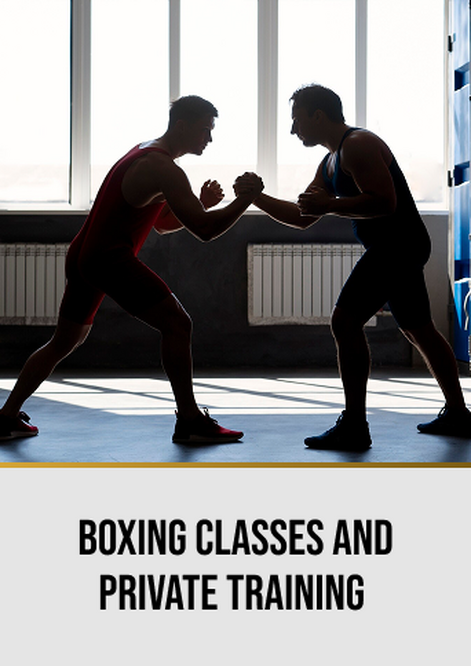 Boxing classes and private training