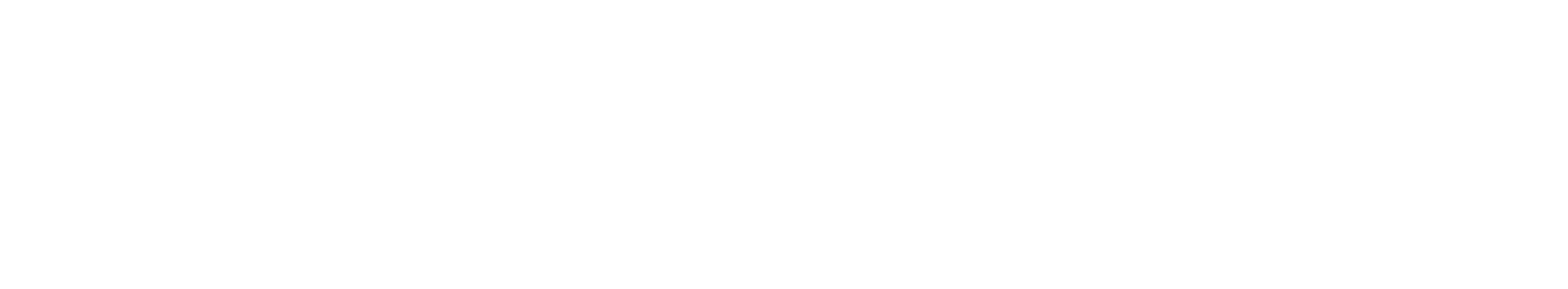 Gracie Jiu-Jitsu Riga