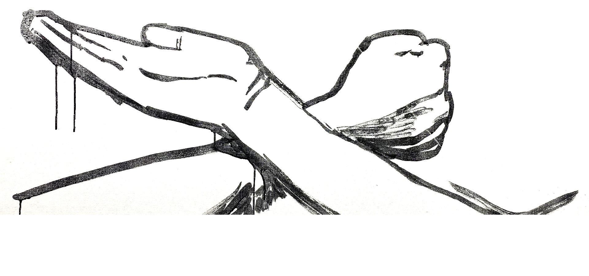 Asheville Kung Fu photo