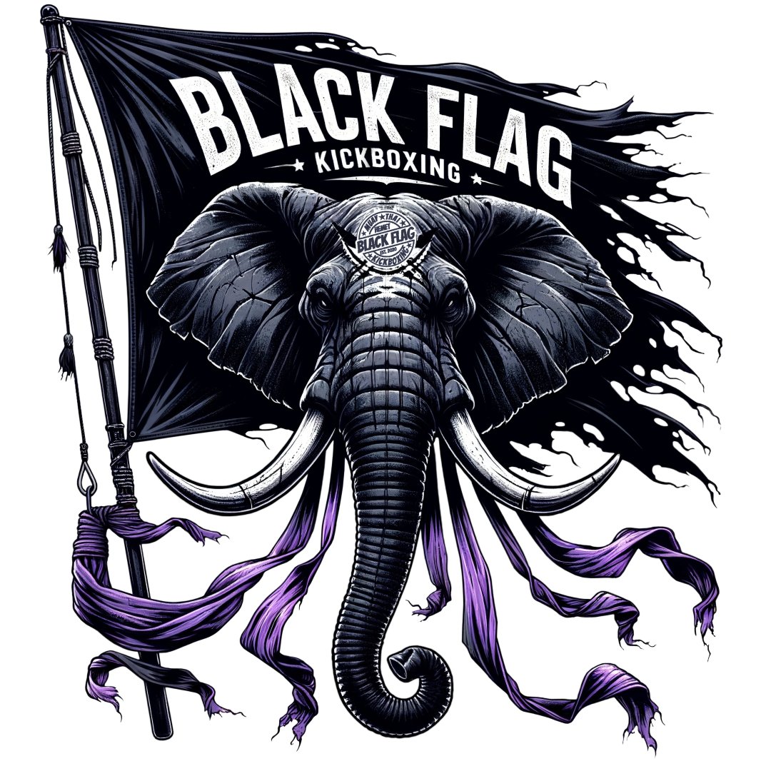 Black Flag Kickboxing photo