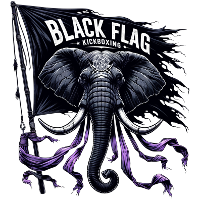 Black Flag Kickboxing photo (Gym's own website (og:image))