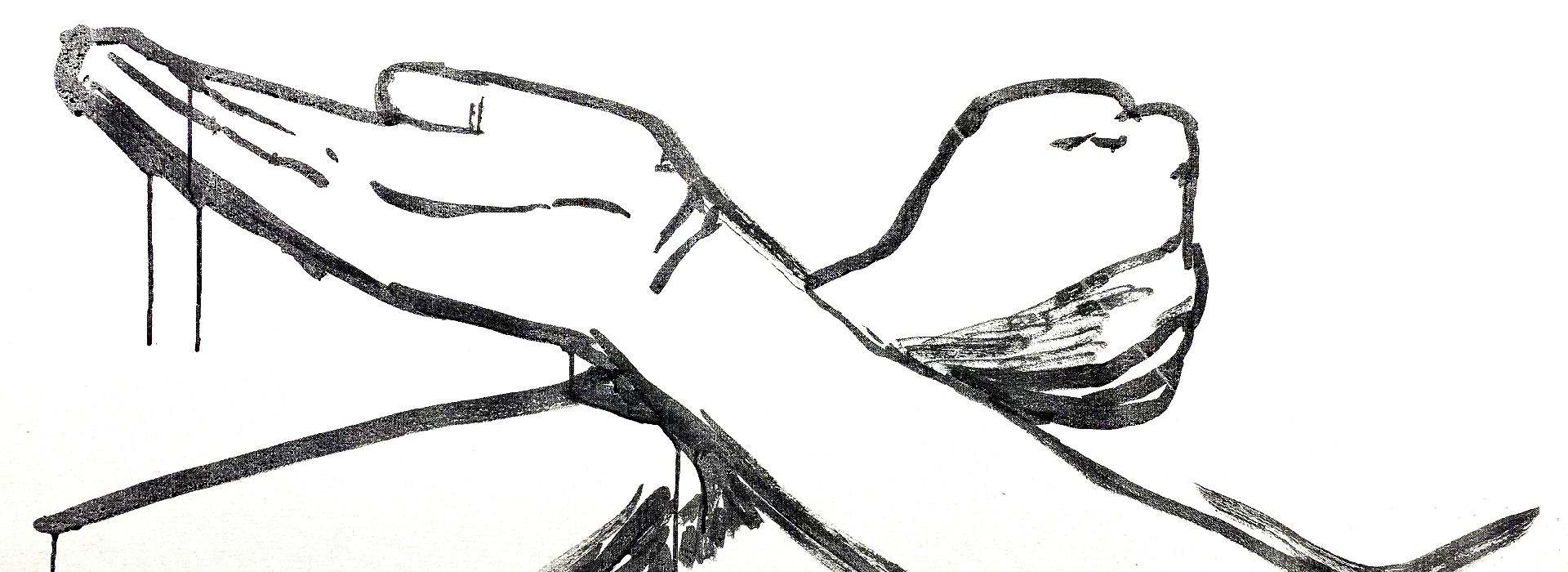 Detroit Kung Fu Academy photo