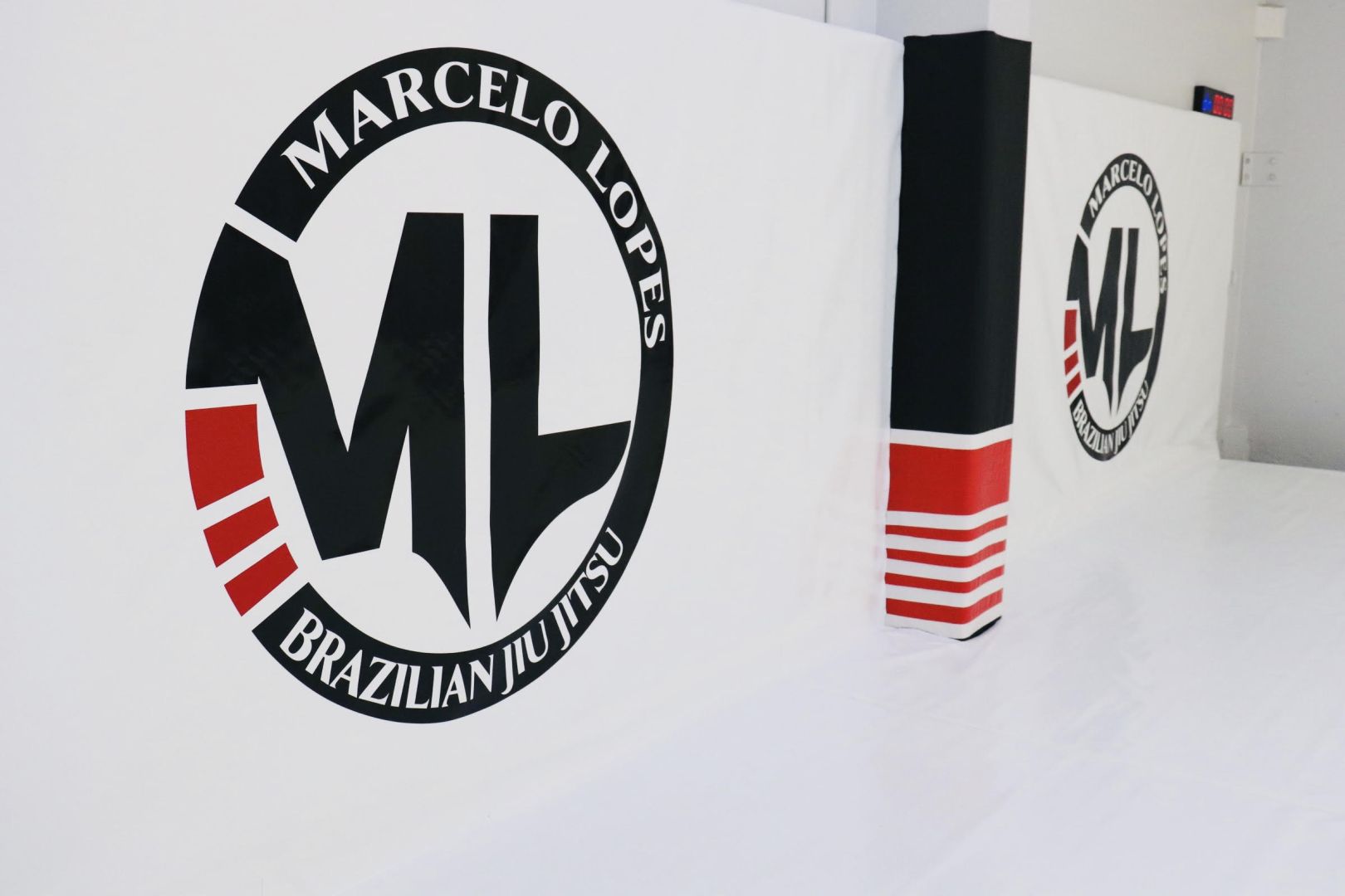 MLT Christchurch  photo