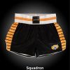 Fudoshin Shorts Photo 16
