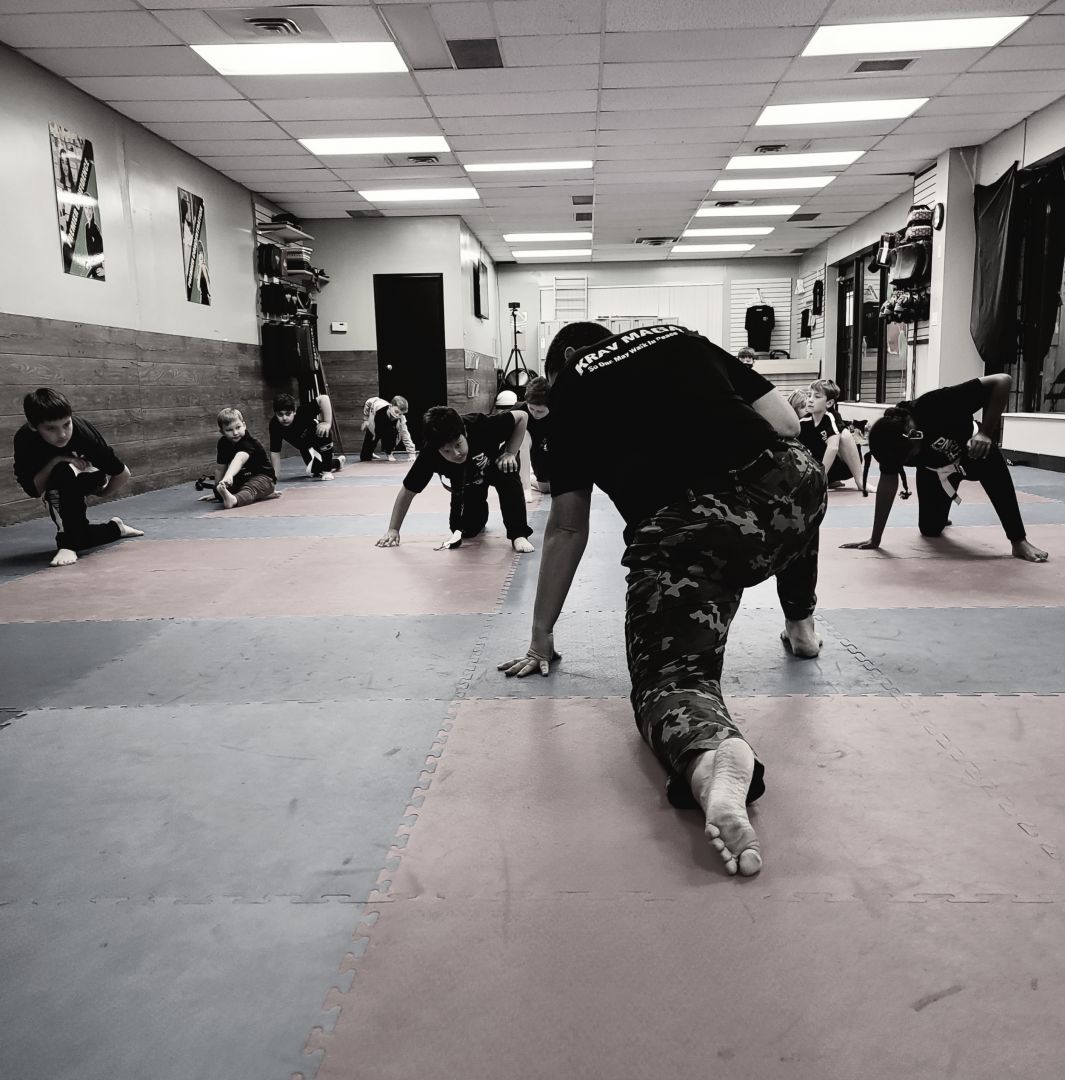 Pinnacle Martial Arts photo