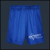 Youth Athletic Mesh Shorts Photo 1