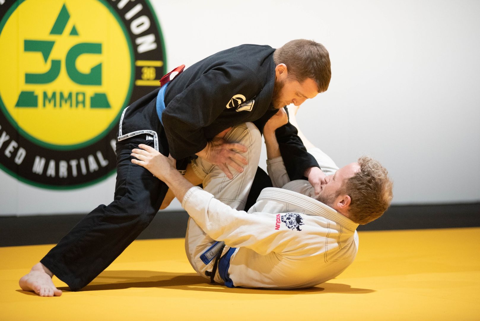 Harrisburg Brazilian Jiu Jitsu and Judo East LLC photo