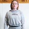 Heavy Ladies Hoodie 25' Grey Photo 1