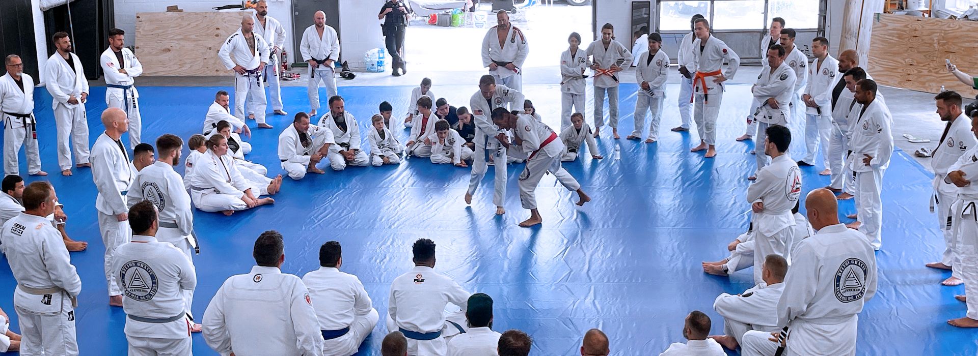 Relson Gracie Jiu-Jitsu Academy photo