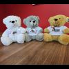 *Satori Plush Teddy Bear Photo 1