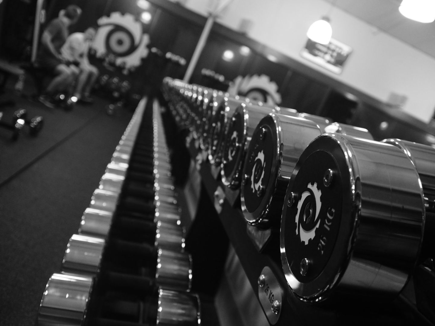 Strength Factory photo