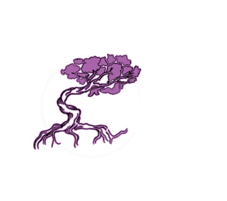 Twisted Juniper Yoga — Hybrid gym in Hannibal, MO