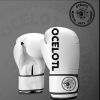 Boxing/Kickboxing Gloves  Photo 1