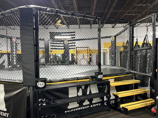 Fighting Arts Academy gym photo