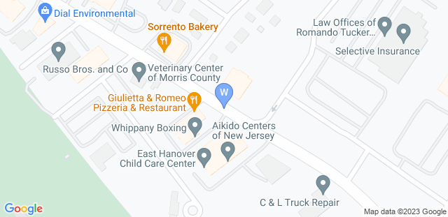 Map to Whippanyboxing 