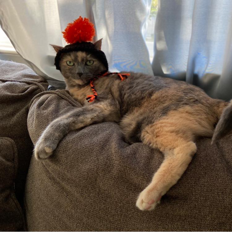 Photo of Carlos Martines