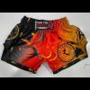 Muay Thai Shorts Photo 1