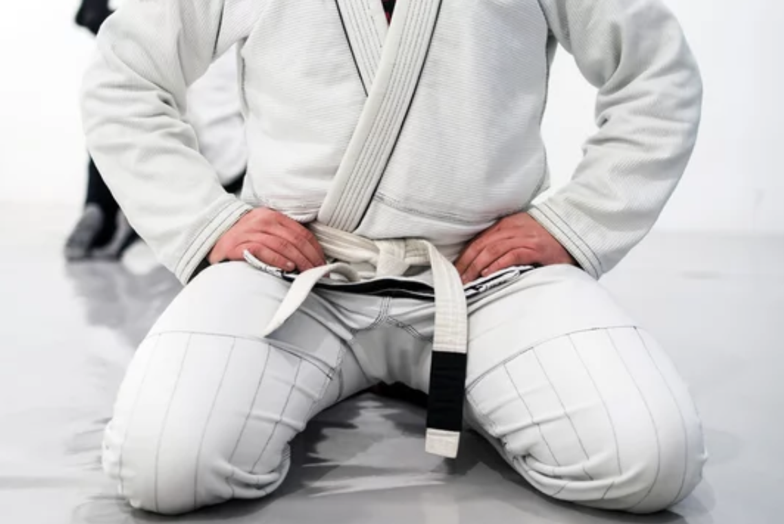 EMPTY HANDS JIU JITSU photo