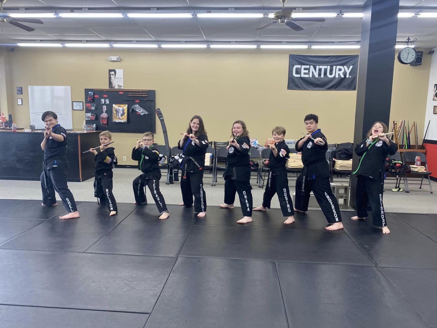 Martial Arts America Milford photo